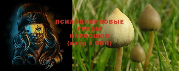 мяу мяу мука Алзамай