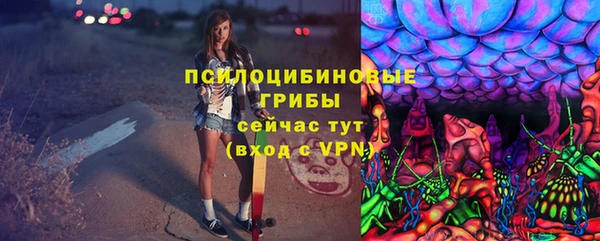 мяу мяу мука Алзамай