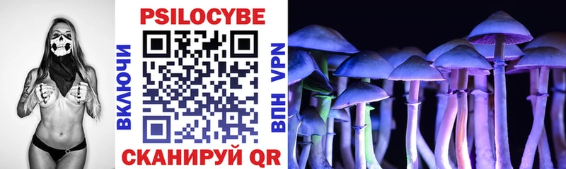 MEGA ТОР  Новоалтайск  Псилоцибиновые грибы MAGIC MUSHROOMS 