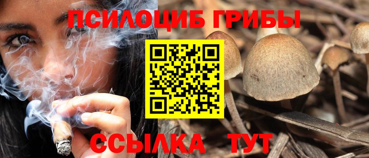 Галлюциногенные грибы мицелий  Вход с VPN  Псилоцибиновые грибы мицелий  Новоалтайск 